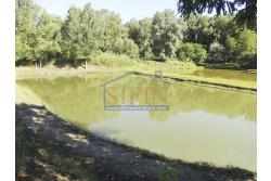 2 Laghi acquacoltura-pesca sportiva  - Proponiamo in locazione impianto di acquacoltura e pesca sportiva con due laghetti naturali con acqua sorgiva