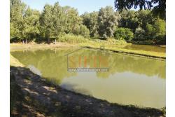 2 Laghi acquacoltura-pesca sportiva  - Proponiamo in locazione impianto di acquacoltura e pesca sportiva con due laghetti naturali con acqua sorgiva