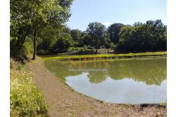 2 Laghi acquacoltura-pesca sportiva  - Proponiamo in locazione impianto di acquacoltura e pesca sportiva con due laghetti naturali con acqua sorgiva