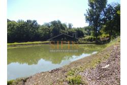 2 Laghi acquacoltura-pesca sportiva  - Proponiamo in locazione impianto di acquacoltura e pesca sportiva con due laghetti naturali con acqua sorgiva