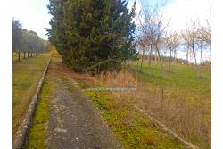 Terreno Edificabile - Grottaminarda (AV) su S.S. 90, in prossimit della rotonda che porta alla futura stazione dll'alta velocit 