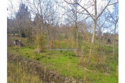 Terreno Edificabile - Grottaminarda (AV) su S.S. 90, in prossimit della rotonda che porta alla futura stazione dll'alta velocit 