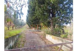 Terreno Edificabile - Grottaminarda (AV) su S.S. 90, in prossimit della rotonda che porta alla futura stazione dll'alta velocit 