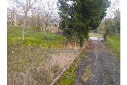 Terreno Edificabile - Grottaminarda (AV) su S.S. 90, in prossimit della rotonda che porta alla futura stazione dll'alta velocit 