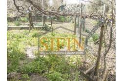 Casa con giardino - Montemarano (AV), proponiamo in vendita casa semindipendente (appartamento) ubicata alla Contrada Acquavivola, composta da veranda d'ingresso, corridoio, cucina due camere e bagno al piano rialzato per un totale di complesivi mq. 75,00 ca. oltre ad un deposito di mq. 15,00 al piano seminterrato e piccolo giardino di mq. 70,00 ca.