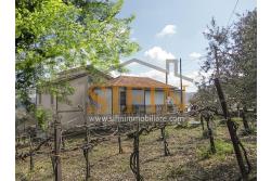 Casa con giardino - Montemarano (AV), proponiamo in vendita casa semindipendente (appartamento) ubicata alla Contrada Acquavivola, composta da veranda d'ingresso, corridoio, cucina due camere e bagno al piano rialzato per un totale di complesivi mq. 75,00 ca. oltre ad un deposito di mq. 15,00 al piano seminterrato e piccolo giardino di mq. 70,00 ca.