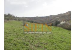 Casa con Terreno - Zungoli (AV) proponiamo in vendita un fabbricato da ristrutturare di mq. 130,00 ca. composto da due vani abitativi di mq. 50,00 ca. ed un vano deposito/cantina di mq. 80,00 ca. oltre a mq. 11.000,00 ca. di terreno 