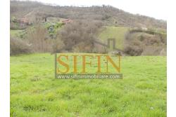 Casa con Terreno - Zungoli (AV) proponiamo in vendita un fabbricato da ristrutturare di mq. 130,00 ca. composto da due vani abitativi di mq. 50,00 ca. ed un vano deposito/cantina di mq. 80,00 ca. oltre a mq. 11.000,00 ca. di terreno 