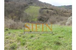 Casa con Terreno - Zungoli (AV) proponiamo in vendita un fabbricato da ristrutturare di mq. 130,00 ca. composto da due vani abitativi di mq. 50,00 ca. ed un vano deposito/cantina di mq. 80,00 ca. oltre a mq. 11.000,00 ca. di terreno 