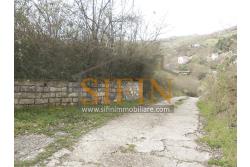 Casa con Terreno - Zungoli (AV) proponiamo in vendita un fabbricato da ristrutturare di mq. 130,00 ca. composto da due vani abitativi di mq. 50,00 ca. ed un vano deposito/cantina di mq. 80,00 ca. oltre a mq. 11.000,00 ca. di terreno 