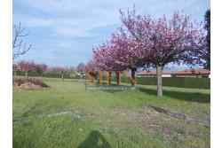 Villa con Piscina - Melito Irpino, nella immediata periferia, proponiamo in vendita villa di complessivi mq. 450,00 ca. oltre a mq. 10.500,00 di giardino