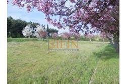 Villa con Piscina - Melito Irpino, nella immediata periferia, proponiamo in vendita villa di complessivi mq. 450,00 ca. oltre a mq. 10.500,00 di giardino