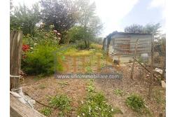 Rudere con terreno - Grottaminarda, su S.S. 90 (Contrada Cognole), proponiamo in vendita deposito di mq. 65,00 ca. completamente da ristrutturare con terreno adiacente di mq. 2.000,00 ca. avente destinazione urbanistica agricola.