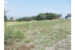 Terreno Edificabile - Terreno edificabile in vendita a Grottaminarda Frazione Carpignano