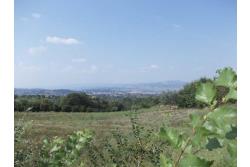 Terreno Edificabile - Terreno edificabile in vendita a Grottaminarda Frazione Carpignano