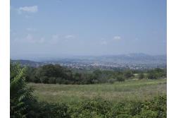 Terreno Edificabile - Terreno edificabile in vendita a Grottaminarda Frazione Carpignano