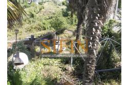 Casa con Giardino - Montefusco, localit� Serra, strada provinciale per Pratola Serra, proponiamo in vendita fabbricato indipendente di complessivi mq. 340,00 oltre a mq. 1.100,00 di giardino di cui mq. 400,00 edificabili (zona 