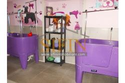 Negozio di Toelettatura PRONTO - Grottaminarda: Affittasi Negozio di Toelettatura 