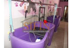 Negozio di Toelettatura PRONTO - Grottaminarda: Affittasi Negozio di Toelettatura 