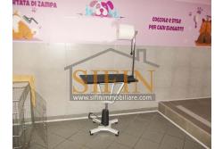 Negozio di Toelettatura PRONTO - Grottaminarda: Affittasi Negozio di Toelettatura 