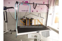 Negozio di Toelettatura PRONTO - Grottaminarda: Affittasi Negozio di Toelettatura 