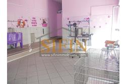 Negozio di Toelettatura PRONTO - Grottaminarda: Affittasi Negozio di Toelettatura 