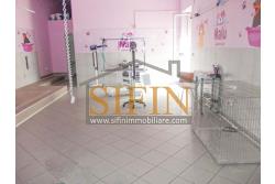 Negozio di Toelettatura PRONTO - Grottaminarda: Affittasi Negozio di Toelettatura 