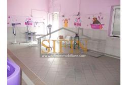 Negozio di Toelettatura PRONTO - Grottaminarda: Affittasi Negozio di Toelettatura 