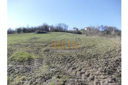 Terreno agricolo pescicoltura - Grottaminarda (AV) � Contrada Fossi
In posizione tranquilla e immersa nel verde, proponiamo in vendita un interessante terreno agricolo di circa 21.000 mq, dotato di impianto per pescicoltura e molteplici possibilit� di utilizzo e sviluppo
