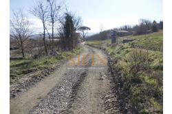 Terreno agricolo pescicoltura - Grottaminarda (AV) � Contrada Fossi
In posizione tranquilla e immersa nel verde, proponiamo in vendita un interessante terreno agricolo di circa 21.000 mq, dotato di impianto per pescicoltura e molteplici possibilit� di utilizzo e sviluppo
