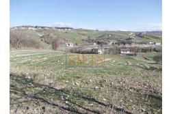 Terreno agricolo pescicoltura - Grottaminarda (AV) � Contrada Fossi
In posizione tranquilla e immersa nel verde, proponiamo in vendita un interessante terreno agricolo di circa 21.000 mq, dotato di impianto per pescicoltura e molteplici possibilit� di utilizzo e sviluppo