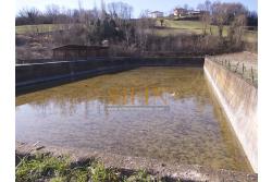 Terreno agricolo pescicoltura - Grottaminarda (AV) � Contrada Fossi
In posizione tranquilla e immersa nel verde, proponiamo in vendita un interessante terreno agricolo di circa 21.000 mq, dotato di impianto per pescicoltura e molteplici possibilit� di utilizzo e sviluppo