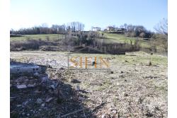 Terreno agricolo pescicoltura - Grottaminarda (AV) � Contrada Fossi
In posizione tranquilla e immersa nel verde, proponiamo in vendita un interessante terreno agricolo di circa 21.000 mq, dotato di impianto per pescicoltura e molteplici possibilit� di utilizzo e sviluppo