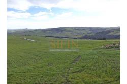 Casa con tre ettari di terreno - Casa di mq. 300,00 con mq. 33.000,00 di terreno con rudere di mq. 130,00