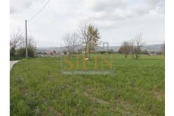 Terreno Edificabile  - Terreno edificabile in vendita a Grottaminarda in adiacenza variante ANAS