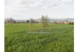 Terreno Edificabile  - Terreno edificabile in vendita a Grottaminarda in adiacenza variante ANAS