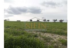 Terreno Edificabile  - Terreno edificabile in vendita a Grottaminarda in adiacenza variante ANAS