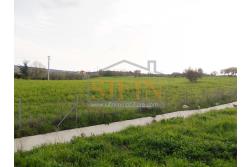 Terreno Edificabile  - Terreno edificabile in vendita a Grottaminarda in adiacenza variante ANAS