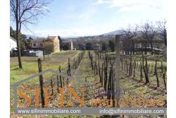 Terreno Edificabile - Grottaminarda (AV) - via Pioppi
In zona periferica proponiamo in vendita terreno edificabile di mq. 3.300,00 ricadente in 