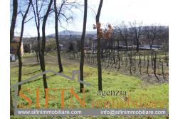 Terreno Edificabile - Grottaminarda (AV) - via Pioppi
In zona periferica proponiamo in vendita terreno edificabile di mq. 3.300,00 ricadente in 