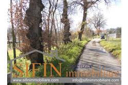 Terreno Edificabile - Grottaminarda (AV) - via Pioppi
In zona periferica proponiamo in vendita terreno edificabile di mq. 3.300,00 ricadente in 