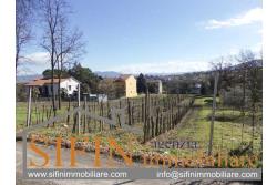 Terreno Edificabile - Grottaminarda (AV) - via Pioppi
In zona periferica proponiamo in vendita terreno edificabile di mq. 3.300,00 ricadente in 