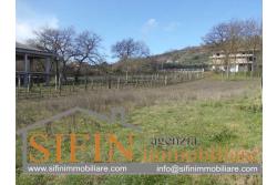 Terreno Edificabile - Grottaminarda (AV) - via Pioppi
In zona periferica proponiamo in vendita terreno edificabile di mq. 3.300,00 ricadente in 