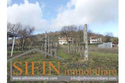 Terreno Edificabile - Grottaminarda (AV) - via Pioppi
In zona periferica proponiamo in vendita terreno edificabile di mq. 3.300,00 ricadente in 