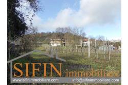 Terreno Edificabile - Grottaminarda (AV) - via Pioppi
In zona periferica proponiamo in vendita terreno edificabile di mq. 3.300,00 ricadente in 