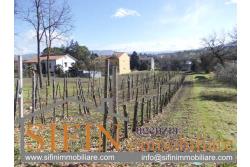Terreno Edificabile - Grottaminarda (AV) - via Pioppi
In zona periferica proponiamo in vendita terreno edificabile di mq. 3.300,00 ricadente in 