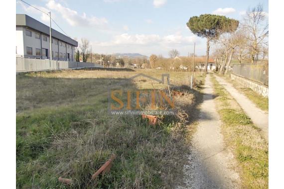 Terreno Edificabile - Vendita - Grottaminarda (AV) C/da Ruvitiello