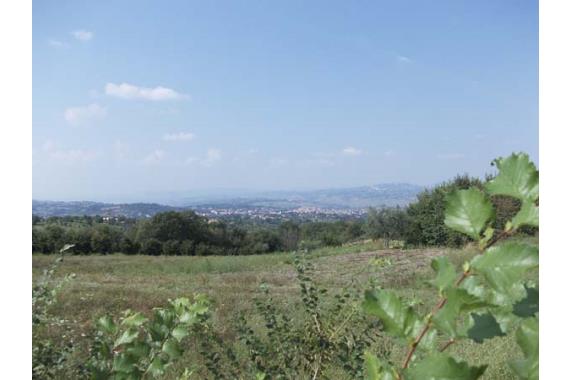 Terreno Edificabile - Vendita - Grottaminarda - Frazione Carpignano