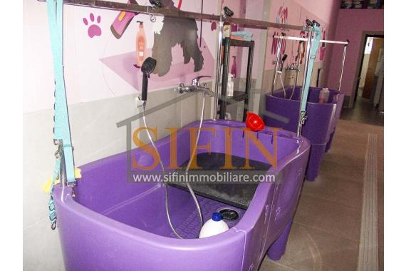 Negozio di Toelettatura PRONTO - Affitto - Grottaminarda (AV)