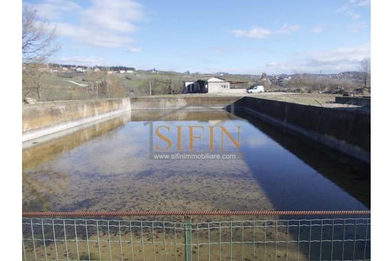 Terreno agricolo pescicoltura - Vendita - Grottaminarda (AV)